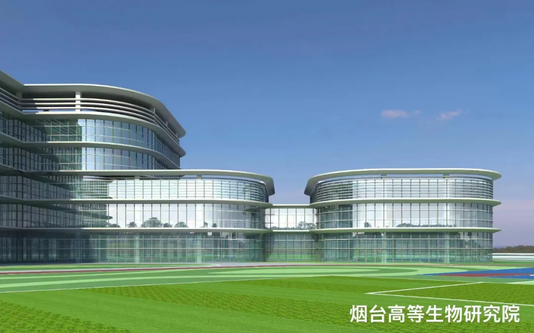 大跨度 高精度 超节能|凤铝助力烟台城市更新,展登州新貌